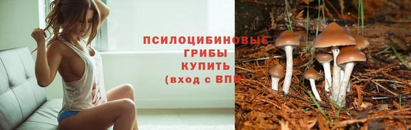 мет Кулебаки